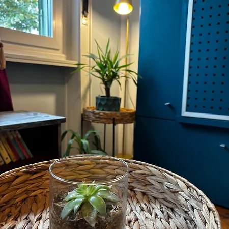 Central Studio * Timişoara